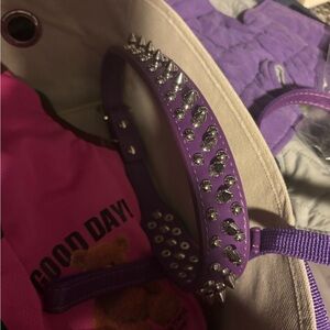 Corkcicle LED Dog Collar - Black and White